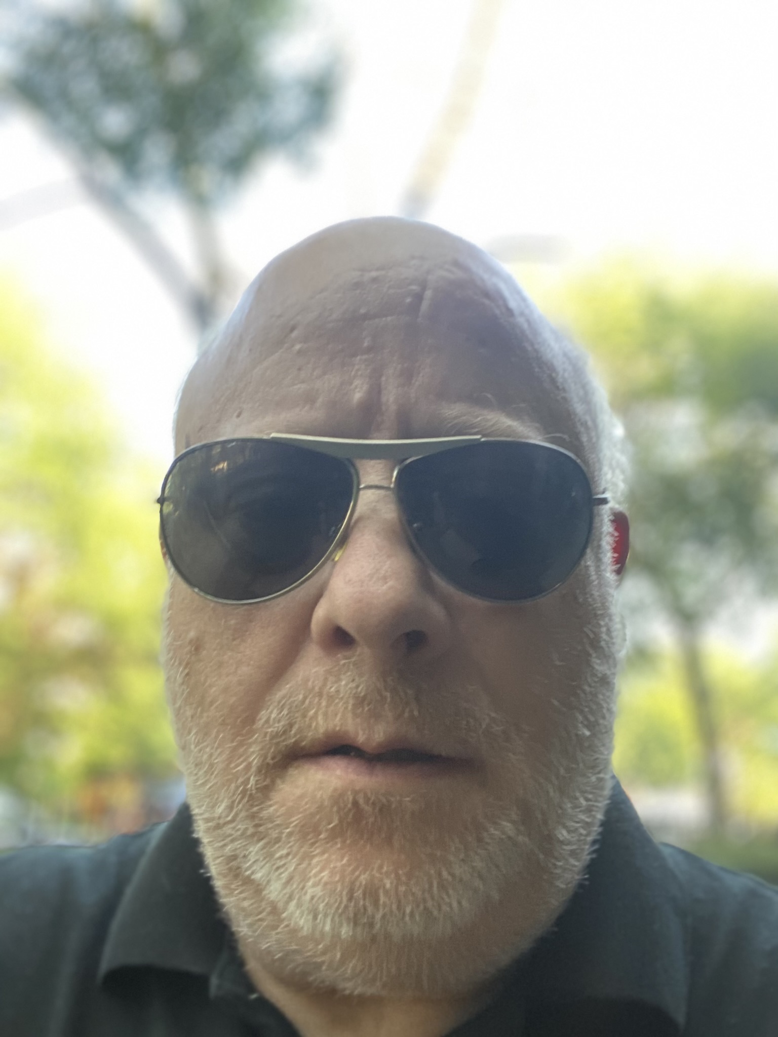 Bill With Whiskers 2024